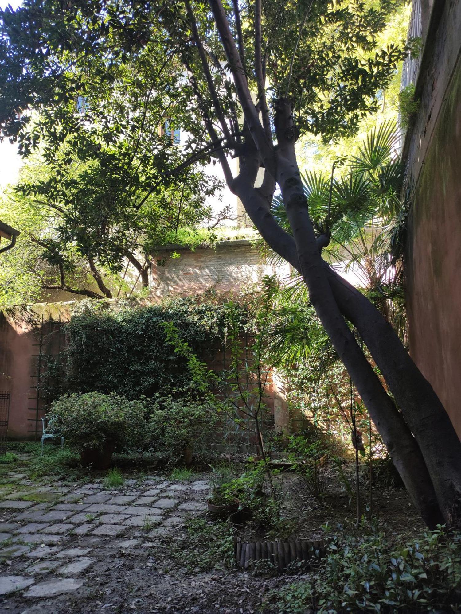 Loft Loggia Al Santo Leilighet Padova Eksteriør bilde